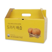 김재식헬스푸드 도라지 배즙, 100ml, 30개