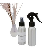 킴스허브 피톤치드 유칼립투스 향수 스프레이 본품, 100ml, 1개