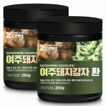 조은약초 여주 돼지감자환, 250g, 2개