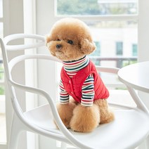 베니즈 반려동물 누비 깔깔이, 레드