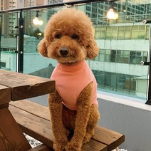 유앤펫 강아지 잔 스트라이프 폭닥 나시, 코랄