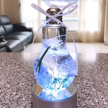 로빈컴퍼니 프리저브드 플라워 하바리움 전구, 블루