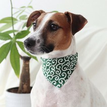 고양이 강아지 당초무늬 스카프 XS, 그린, 1개