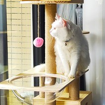 고양이 원목 다기능 DIY 캣타워 하우스 스크래쳐 캣폴 C-13, 1개, 혼합색상