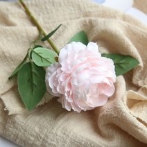 모란 양귀비 조화 3p, 라이트핑크