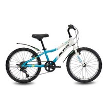 알톤스포츠 2021년형 엑시언 207 MTB 자전거 미조립박스배송, 화이트블루, 146cm