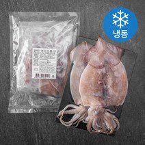 알찬해 국산 개별 포장 손질 통통 오징어 (냉동), 600g, 1개