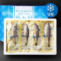 한림수협 굴비세트 1호 굴비 20미 (냉동), 1.6kg, 1세트