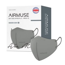 에어뮤즈 핏 2D 새부리형 마스크 성인용 대형, 25매입, 1개, 모던 그레이
