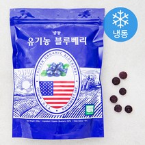 유기가공식품 인증 블루베리 (냉동), 500g, 1개