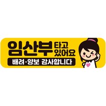 제제데코 칼라 고휘도 반사 자석 초보운전 스티커 A280 280 x 80 mm, AB019, 1개