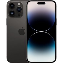 Apple 정품 아이폰 14 Pro Max 자급제, 스페이스블랙, 128GB