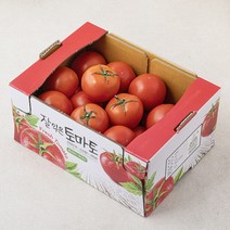 거실용토마토 재구매 높은 상품