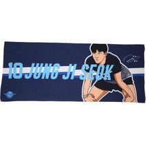 대한항공 플레이어 일러스트 페이스타월 정지석, 곤색