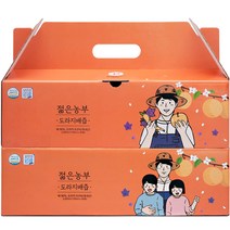 푸릇담 젊은농부 도라지배즙 30p, 100ml, 60포