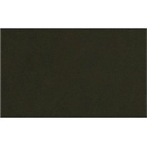 씻어쓰는 서예판 29 그린 120 × 240 cm, 1개