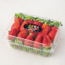 산지직송 예담 진주 금실딸기, 500g(상), 1개