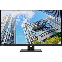 레노버 4K UHD 모니터, H22280UE0
