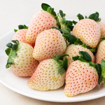 올프레쉬 GAP 인증 화이트 딸기, 300g, 1개