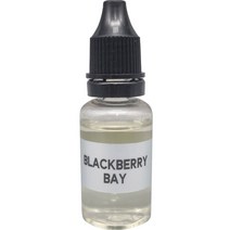 엠퓨처 차량용 불독 방향제 리필 오일 15ml, 블랙베리베이, 1개