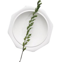 시라쿠스 팔각볼 24cm, 네이처 화이트, 1개