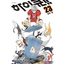 하이큐!! 23:공의 