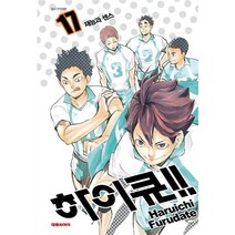 하이큐, 대원씨아이, 17권