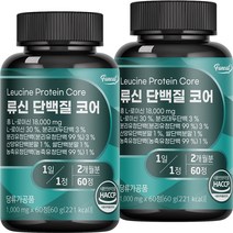 퍼니트 류신 단백질 코어 60g, 60정, 2개