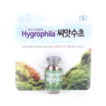 안핑크 씨앗수초 S, 1개