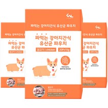 씨엔앨라이프 짜먹는 강아지간식 유산균 파우치 스틱 15g x 20p, 3개, 닭고기