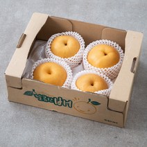 천안 당도선별 신고배, 3kg, 1개