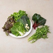 국내산 알찬 모둠채소, 400g, 1개