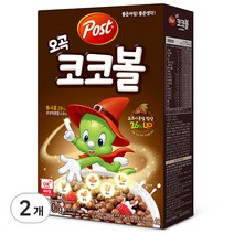 동서 포스트 오곡 코코볼, 570g, 2개