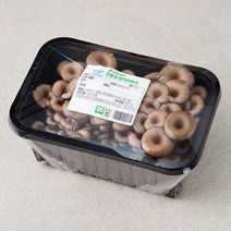 친환경 참타리버섯, 300g, 1개