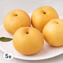 곰곰 배(햇), 2kg, 5개