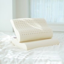 하우스터 국산 천연 라텍스 기능성 숙면베개, 화이트