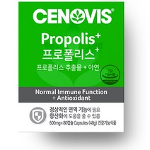 [안국프로폴리스] [안국건강] 그린프로폴리스 120캡슐 3박스 (6개월) + 쇼핑백, 단품, 단품