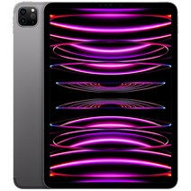 Apple 정품 2022 아이패드 프로 11 4세대 M2칩, 스페이스그레이, 1TB, Wi-Fi+Cellular