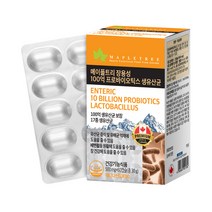 메이플트리 장용성 100억 프로바이오틱스 생유산균, 30g, 1개