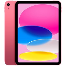 Apple 정품 2022 아이패드 10세대, 핑크, 256GB, Wi-Fi