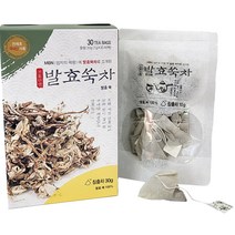 선재광 박사 발효 쑥차, 1g, 30개