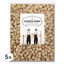 초이스팜 껍질깐 연자육, 300g, 5개