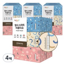 탐사 천연펄프 미용티슈, 250매입, 24개