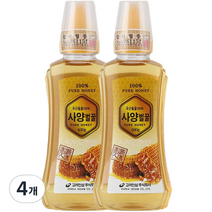 고려인삼 사양 벌꿀, 4개, 600g