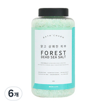 바스참 사해소금 포레스트 용기형, 1kg, 6개