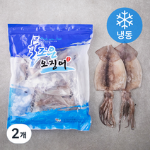 현이푸드빌 손질 오징어 (냉동), 750g, 2개