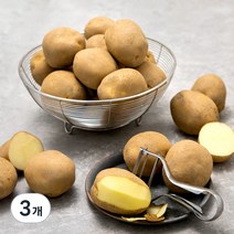 곰곰 감자, 1kg, 3개