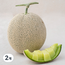 곡성 맘에쏙 멜론, 1.9kg, 2개