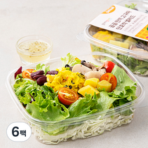 곰곰 한끼 고구마 단호박 샐러드, 6팩, 240g