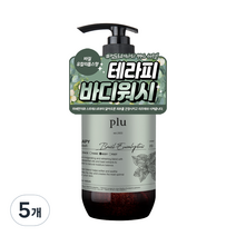 플루 테라피 바디워시 바질 유칼립투스향, 500g, 5개
